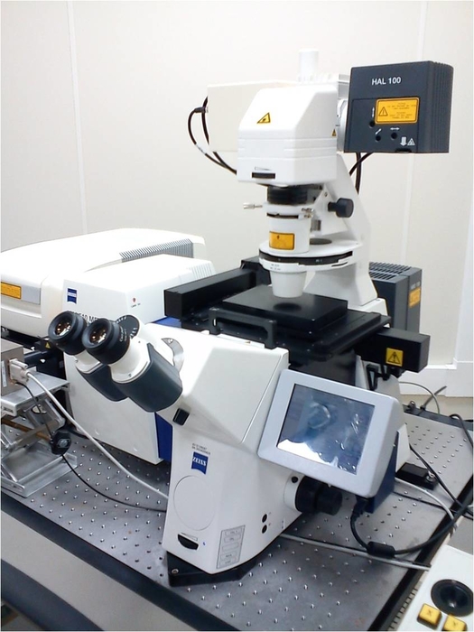 Scanning Confocal microscope (Zeiss LSM 510) ReDiB Red Distribuida